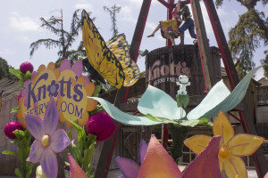 Knott's Berry Farm celebrates everything berry much during its Boysenberry Festival.