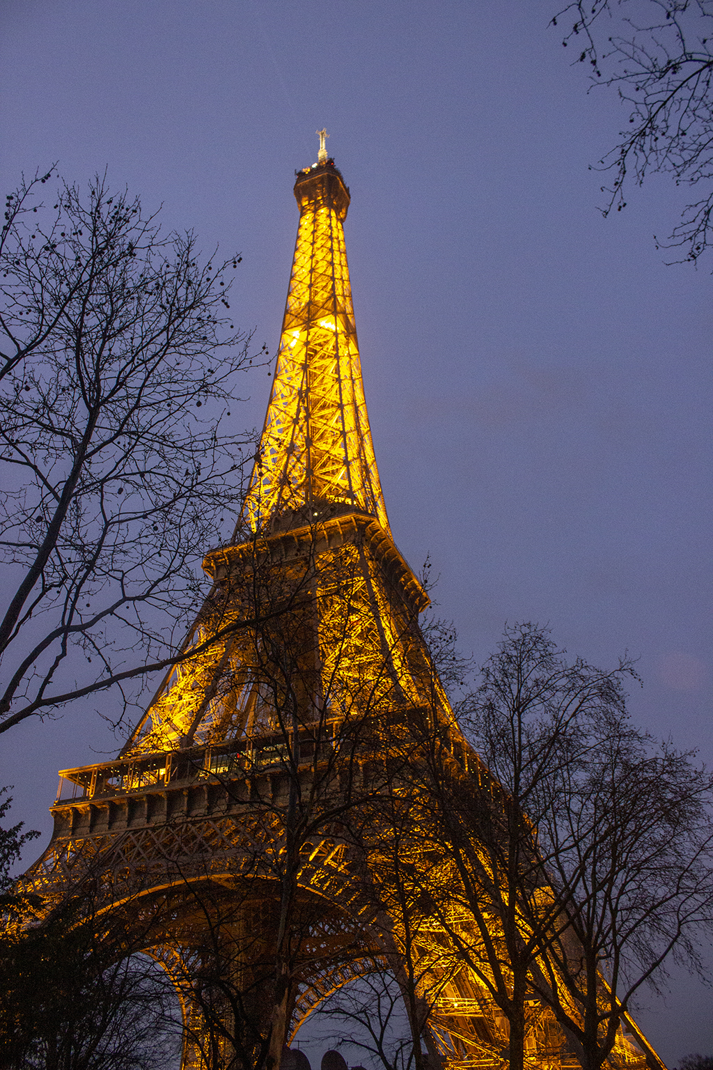 Lights Up! The Eiffel Tower Shines - Eiffel Tower Restaurant